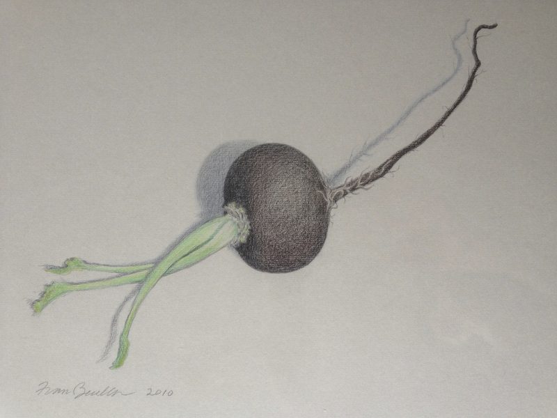 Black Radish: The Dancer