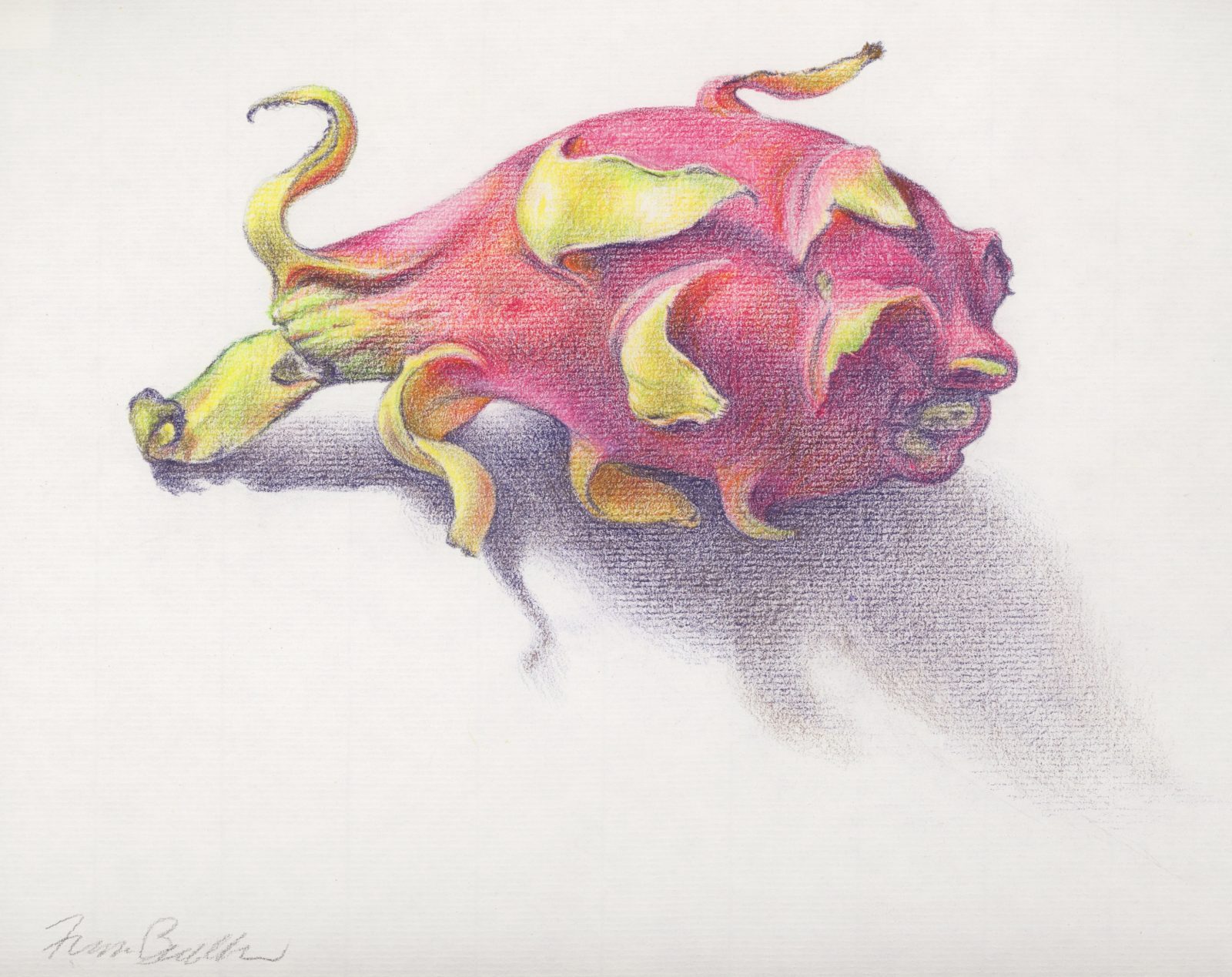 Dragon Fruit