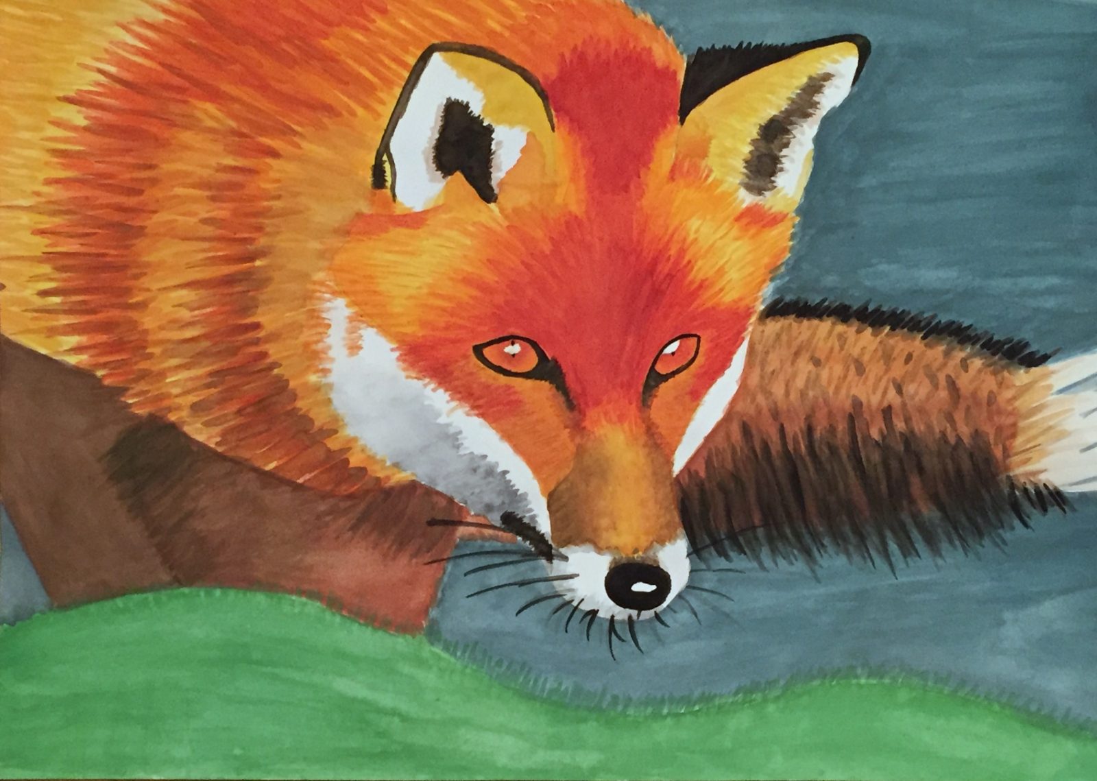 Fox watercolor