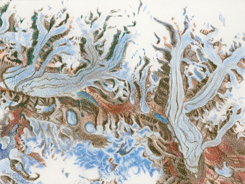 Frilled Glacier: Chapman Glacier, Ellesmere Island, Nunaut Territory, Canada