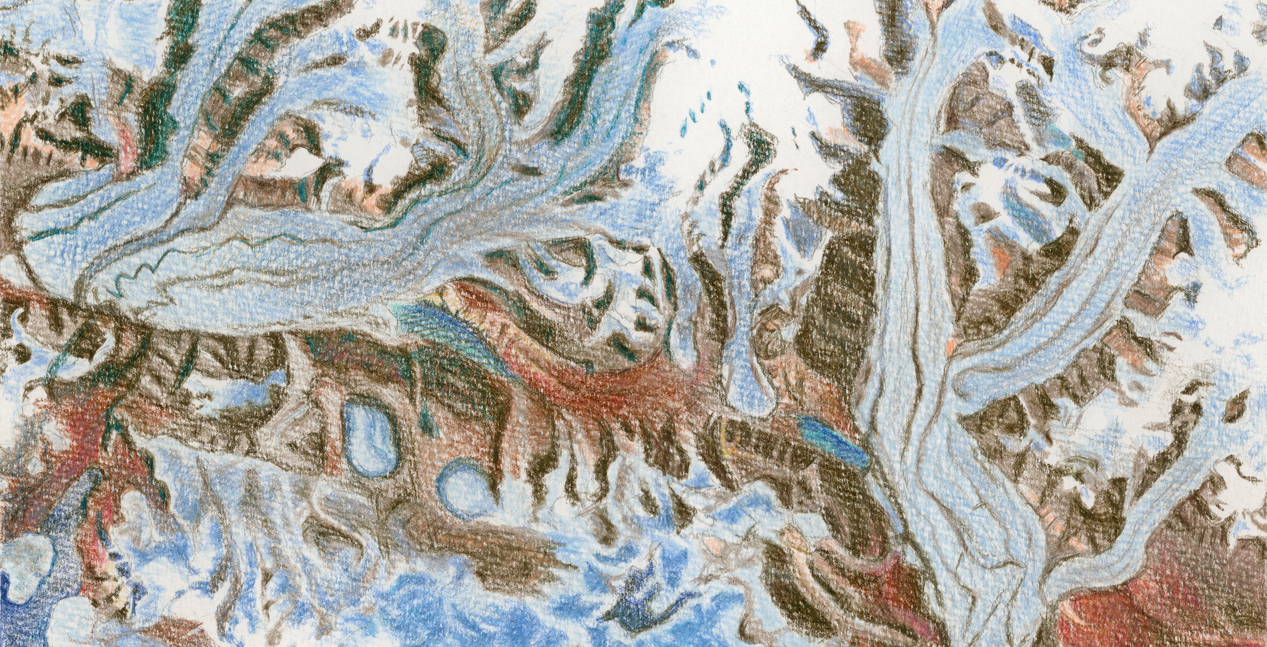 Portraits of Glaciers