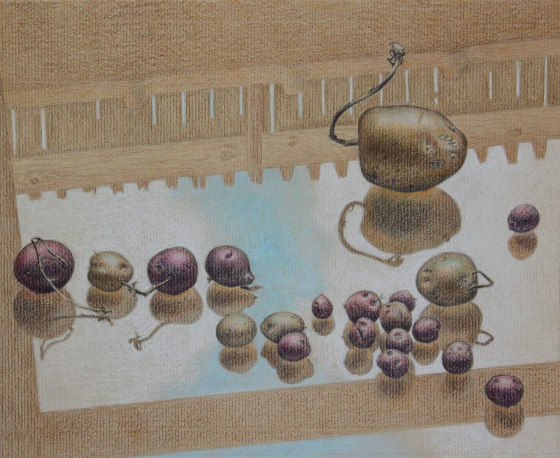 Potatoes: On The Fence