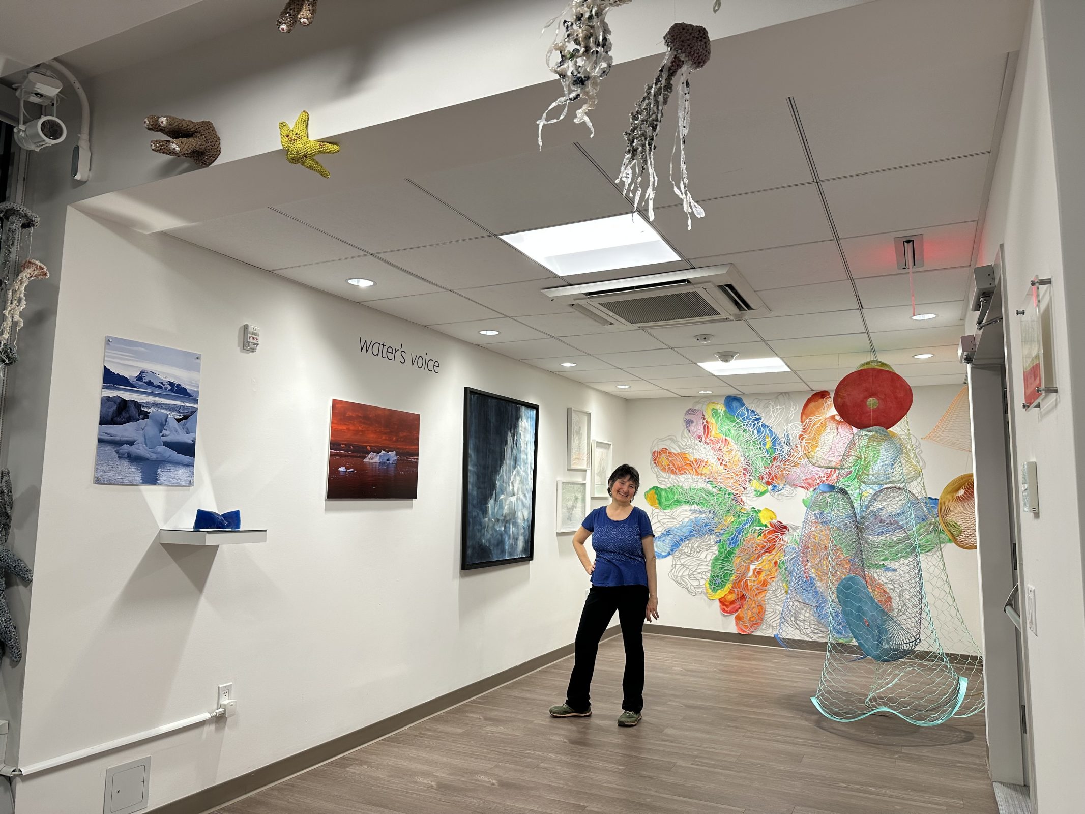 Water's Voice - curated by Fran Beallor at Guild Gallery II 119 9th Ave NYC
