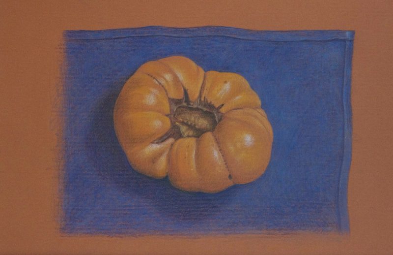 Yellow Heirloom Tomato: Study in Character